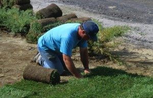 Installing Sod